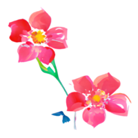 bloem waterverf decoratie png