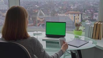 freelancer works at home office video