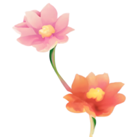 Blume Aquarell süß png