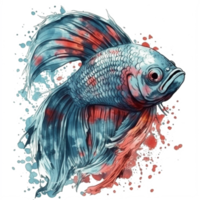 Watercolor painting of betta fish png