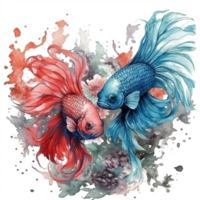 Watercolor painting of betta fish png