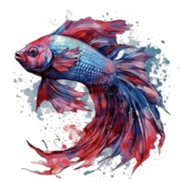 Aquarell Gemälde von Betta Fisch png