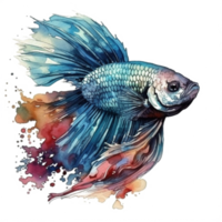 Aquarell Gemälde von Betta Fisch png