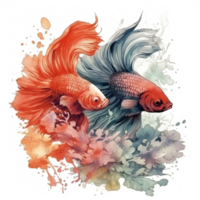 Watercolor painting of betta fish png