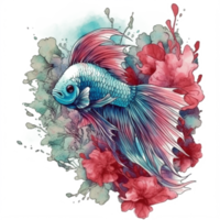 Watercolor painting of betta fish png