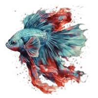 Watercolor painting of betta fish png