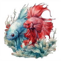 Watercolor painting of betta fish png