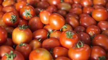 Many fresh tomatoes on table video