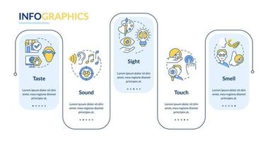 sensorial receptores en publicidad rectángulo infografía modelo. datos visualización con 5 5 pasos. editable cronograma informacion cuadro. flujo de trabajo diseño con línea íconos vector