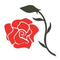 Rose and stem vector