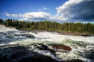 Into the wilderness photo