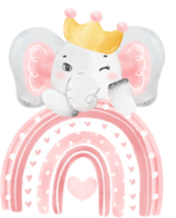 Cute adorable pink baby girl elephant animal watercolor cartoon  illustration png