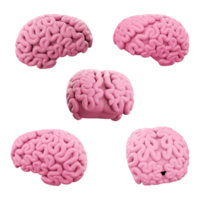 3d representación rosado cerebro diferente posiciones icono colocar. 3d hacer educación, medicamento, Ciencias icono colocar. png