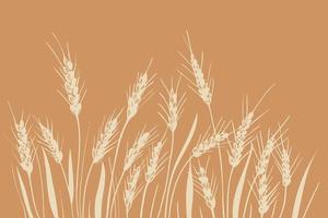 Field of ears of wheat. Heap of ears of wheat, dried whole grains. Cereal harvest, agriculture, organic farming. Background from ears of wheat drawn by hand. Design element.Vector vector