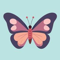 colorful butterfly or moth vector