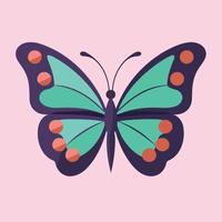 colorful butterfly or moth vector