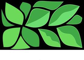 Green leaf pattern design that can be used as a background. vector