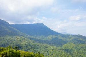 mountains, trees and sky photo