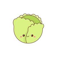 Kawaii style cabbage isolated on white background vector