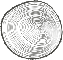 Tree rings wooden log. Circle annual stump texture. Line timber slices png