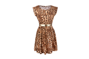 Brown dress isolated on a transparent background png