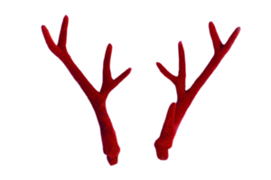 Red horns isolated on a transparent background png