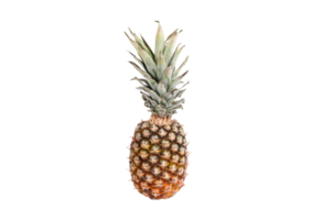 Ananas Obst isoliert auf ein transparent Hintergrund png