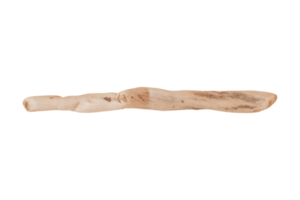 Beige Ast isoliert auf ein transparent Hintergrund png