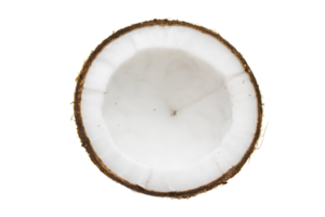 Half coconut isolated on a transparent background png