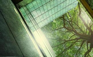 edificio verde sostenible. edificio ecológico en la ciudad moderna. edificio de oficinas de vidrio sostenible con árbol para reducir el dióxido de carbono. oficina con ambiente verde. el edificio corporativo reduce el co2. foto