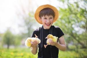 Happy boy holding ducklings on the background of nature. Child and ducklings. photo