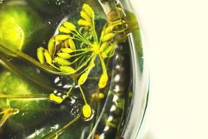 pickled cucumbers with dill in a glass jar top view. cucumbers background. the bottom of the jar with cucumbers. inverted jar with cucumbers. photo