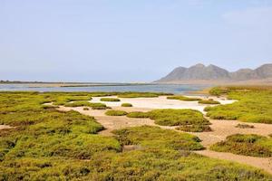 Scenic coastal view photo