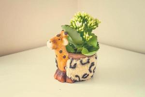 decorative pot with small white flowers on a light background photo