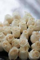 Red Rose Flowers On White Cloth Stock Photo 227204866