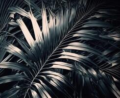 Metallic palm leaves. photo