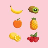 fruit collection in vector