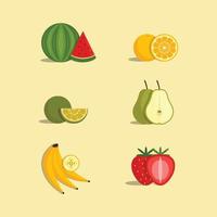 different fruit collection in vector
