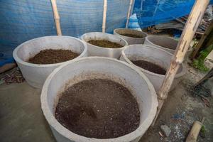 Vermicompost is being manufactured locally in large containers of cement at Chuadanga, Bangladesh. photo