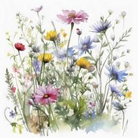 free meadow flowers watercolor and pastel color on white background , Generate Ai photo