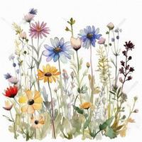 free meadow flowers watercolor and pastel color on white background , Generate Ai photo