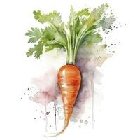 watercolor painting of an one carrot on white background, Generate Ai photo