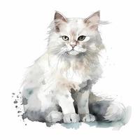 cute fluffy watercolour of a white kat kitty with lot of space arround , Generate Ai photo
