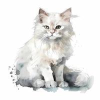 cute fluffy watercolour of a white kat kitty with lot of space arround , Generate Ai photo