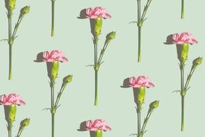 Pink carnation pattern on a green background photo