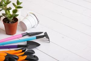 Plants and Gardening tools with gloves, pots on wooden table. Home gardening concept photo