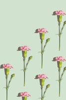 Pink carnation pattern on a green background with copy space photo