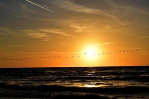 landscape with the setting sun at the Baltic Sea and the key of swans flying in the spring photo