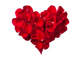 Red heart petals isolated on a transparent background png
