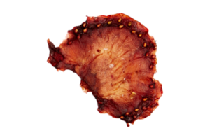 Red dried fruit isolated on a transparent background png